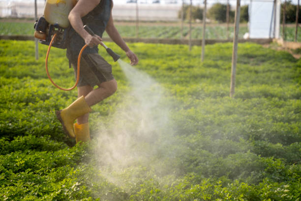 Best Pest Prevention Services  in Imperial, CA