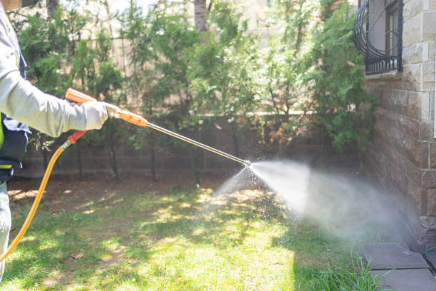 Wasp Removal Services in Imperial, CA